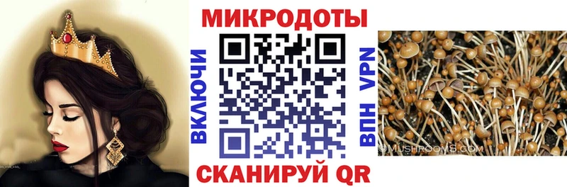 купить наркотик  Томари  мориарти как зайти  Галлюциногенные грибы мухоморы 